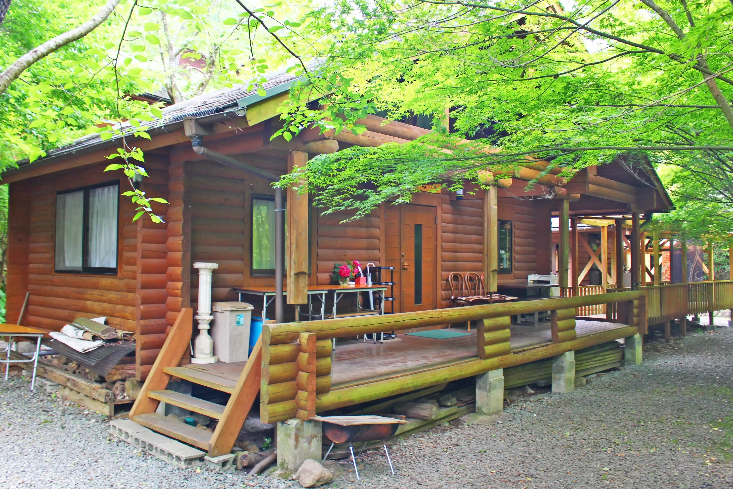 きんこんかん画像